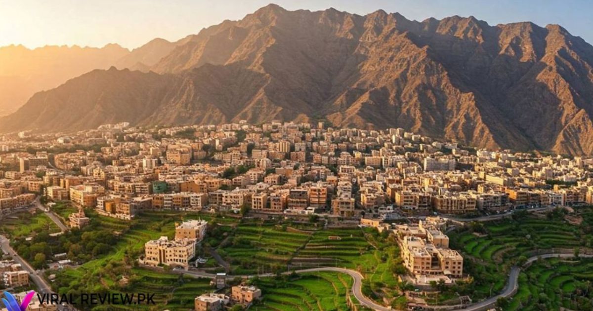 abha-travel-guide