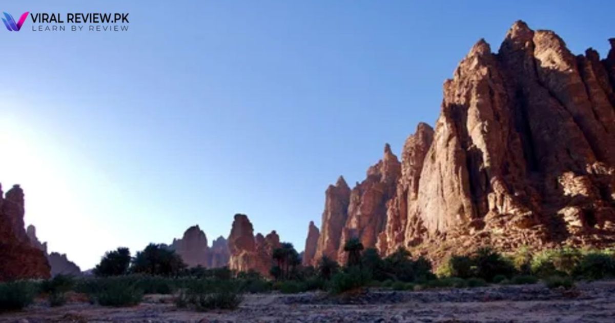 neom-travel-guide