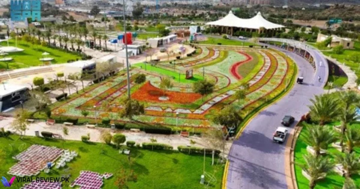 taif-travel-guide